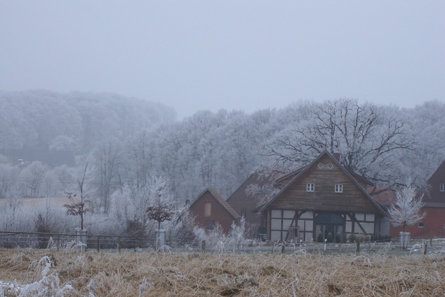 Landschaft im Winter